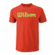 Футболка мужская Wilson Script Cotton