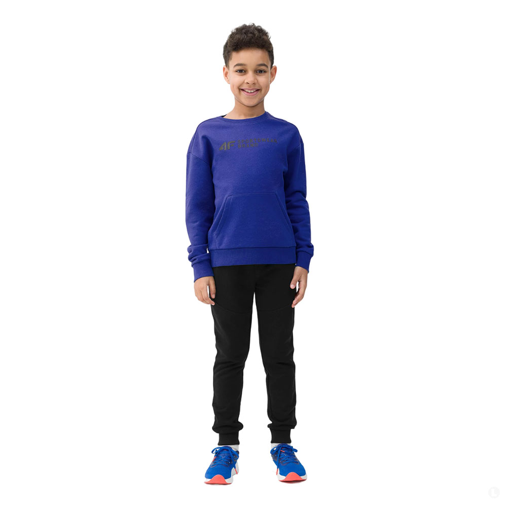 Толстовка детская 4F Cotton Boy синяя Толстовка детская 4F Cotton Boy синяя