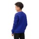 Толстовка детская 4F Cotton Boy синяя Толстовка детская 4F Cotton Boy синяя