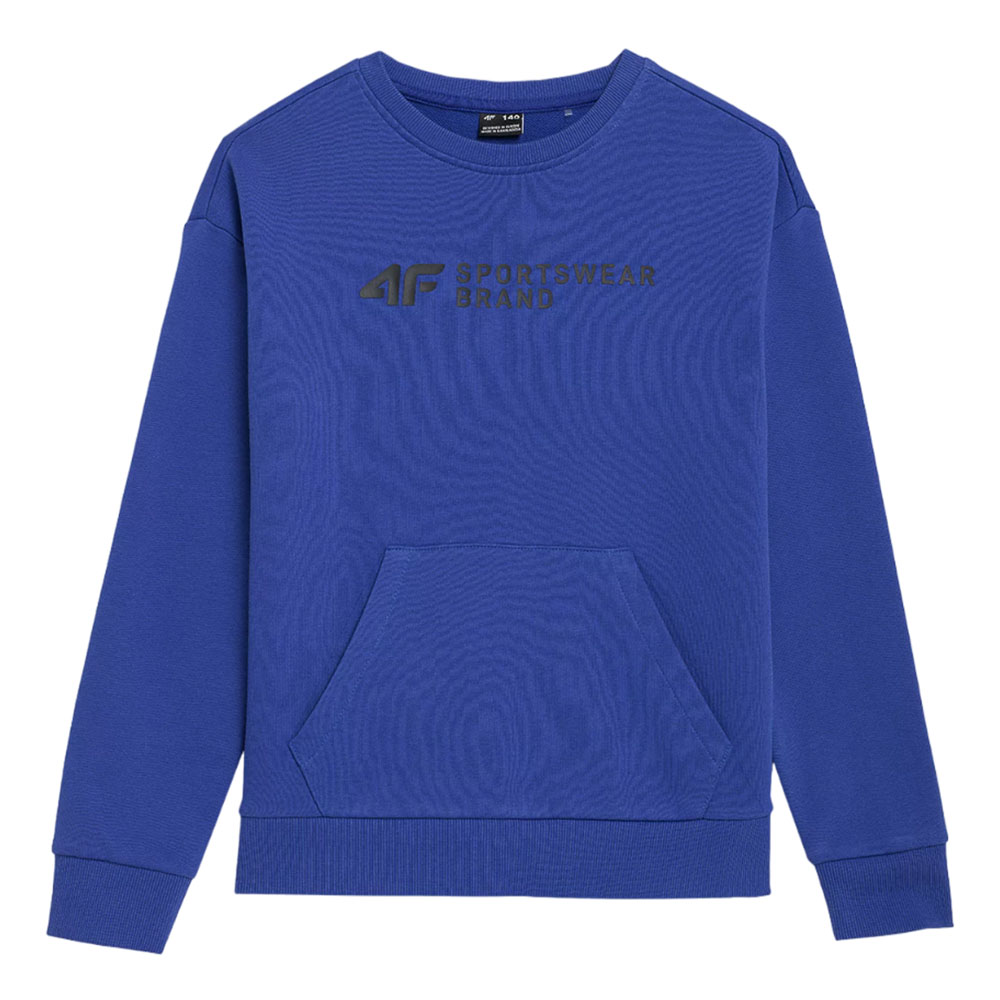 Толстовка детская 4F Cotton Boy синяя Толстовка детская 4F Cotton Boy синяя