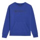 Толстовка детская 4F Cotton Boy синяя Толстовка детская 4F Cotton Boy синяя