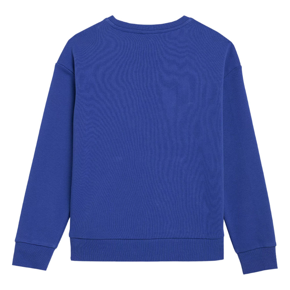 Толстовка детская 4F Cotton Boy синяя Толстовка детская 4F Cotton Boy синяя