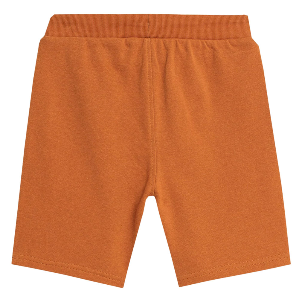 Шорты детские 4F Cotton Boy коричневые Шорты детские 4F Cotton Boy коричневые