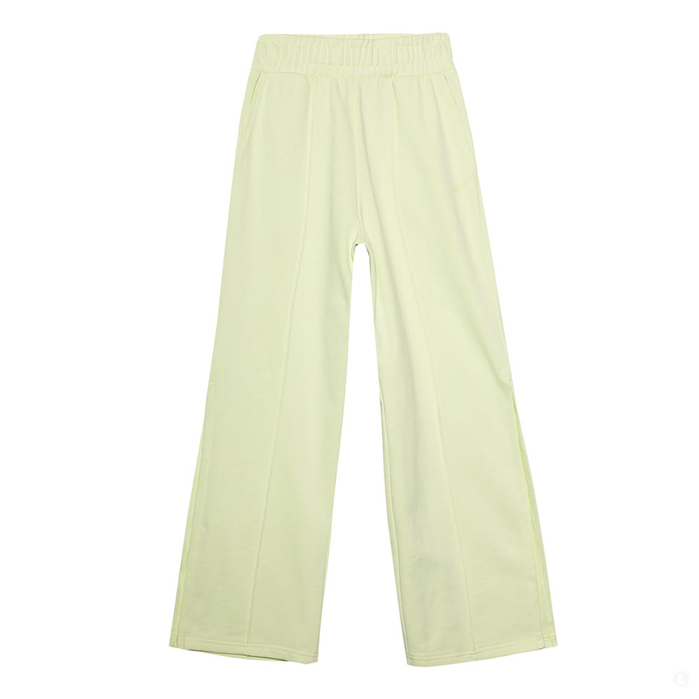 Спортивные брюки женские 4F Sportstyle зеленые