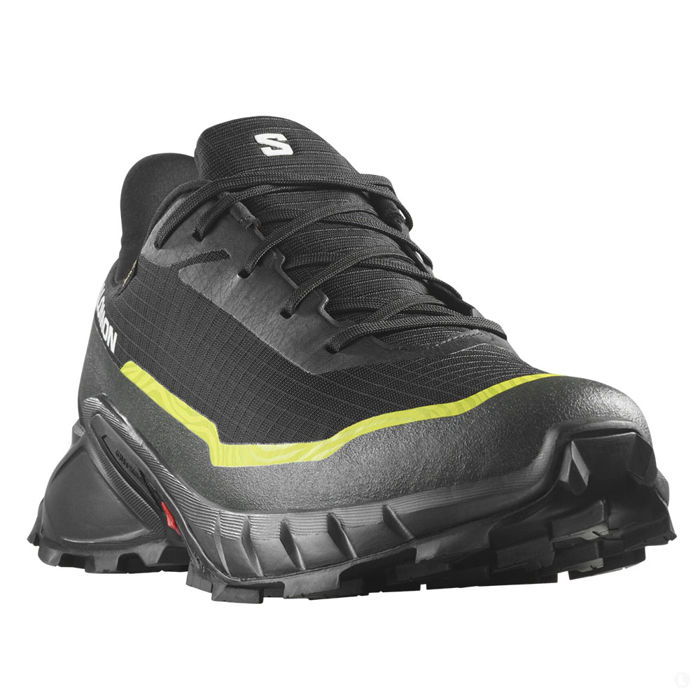 Треккинговые кроссовки мужские Salomon Alphacross 5 gtx