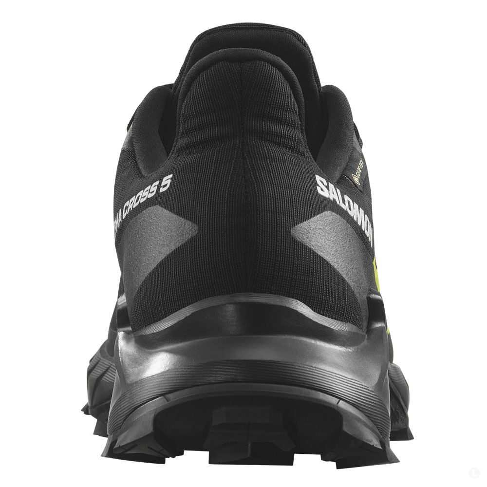 Треккинговые кроссовки мужские Salomon Alphacross 5 gtx