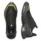 Треккинговые кроссовки мужские Salomon Alphacross 5 gtx