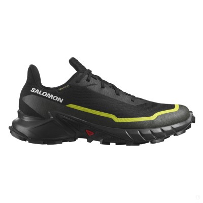 Треккинговые кроссовки мужские Salomon Alphacross 5 gtx