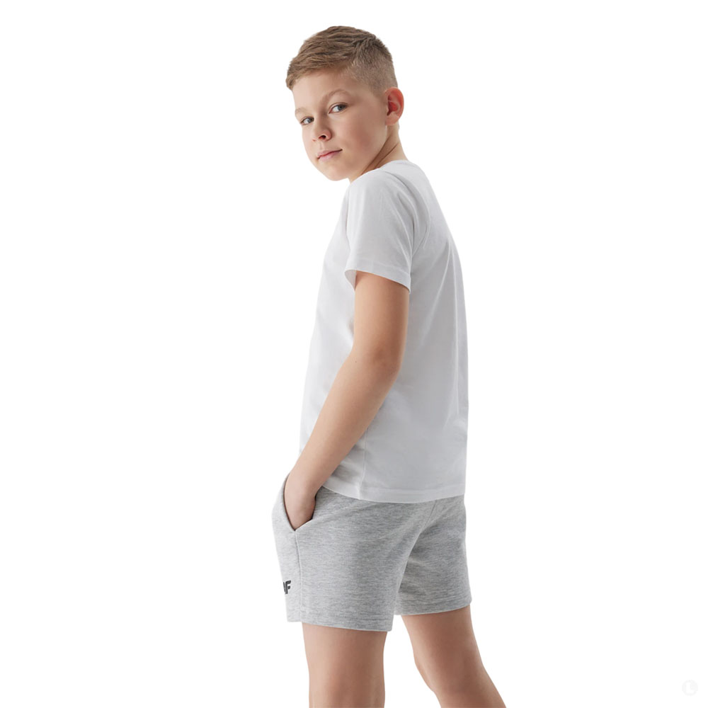 Шорты спортивные детские 4F Boy Sportstyle серые Шорты спортивные детские 4F Boy Sportstyle серые
