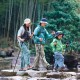 Палка треккинговая Naturehike Qing xue Base Палка треккинговая Naturehike Qing xue Base