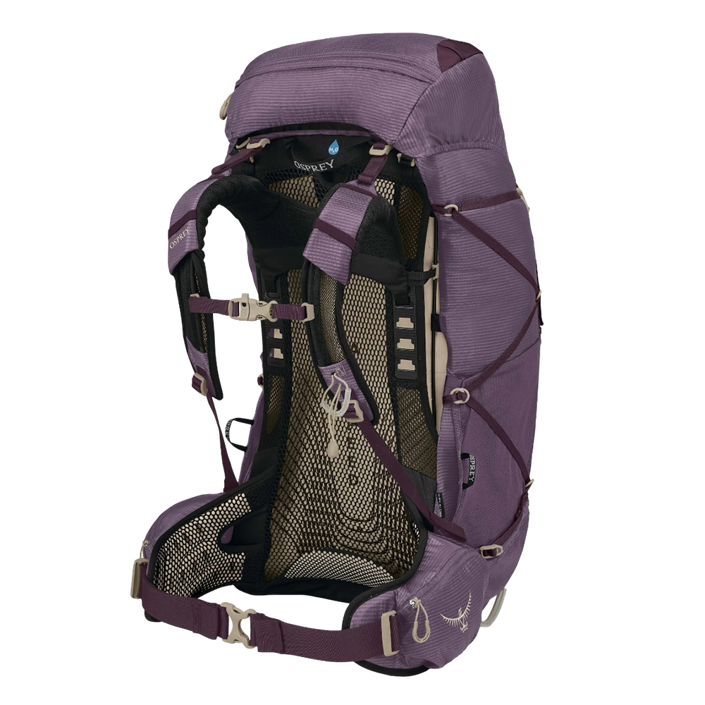 Походный рюкзак Osprey EJA 58 M-L фиолетовый