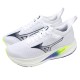 Кроссовки для бега мужские Mizuno Neo Zen 2 