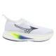 Кроссовки для бега мужские Mizuno Neo Zen 2 