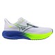 Кроссовки для бега мужские Mizuno Wave Rider 29 