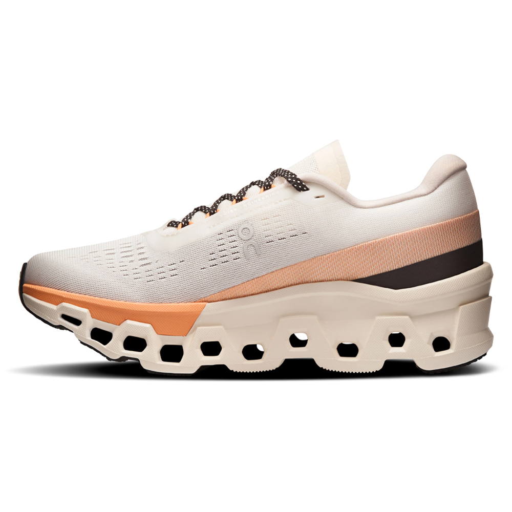 Кроссовки для бега женские On Cloudmonster 2