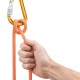 Карабин Petzl Attache Screw-Lock 