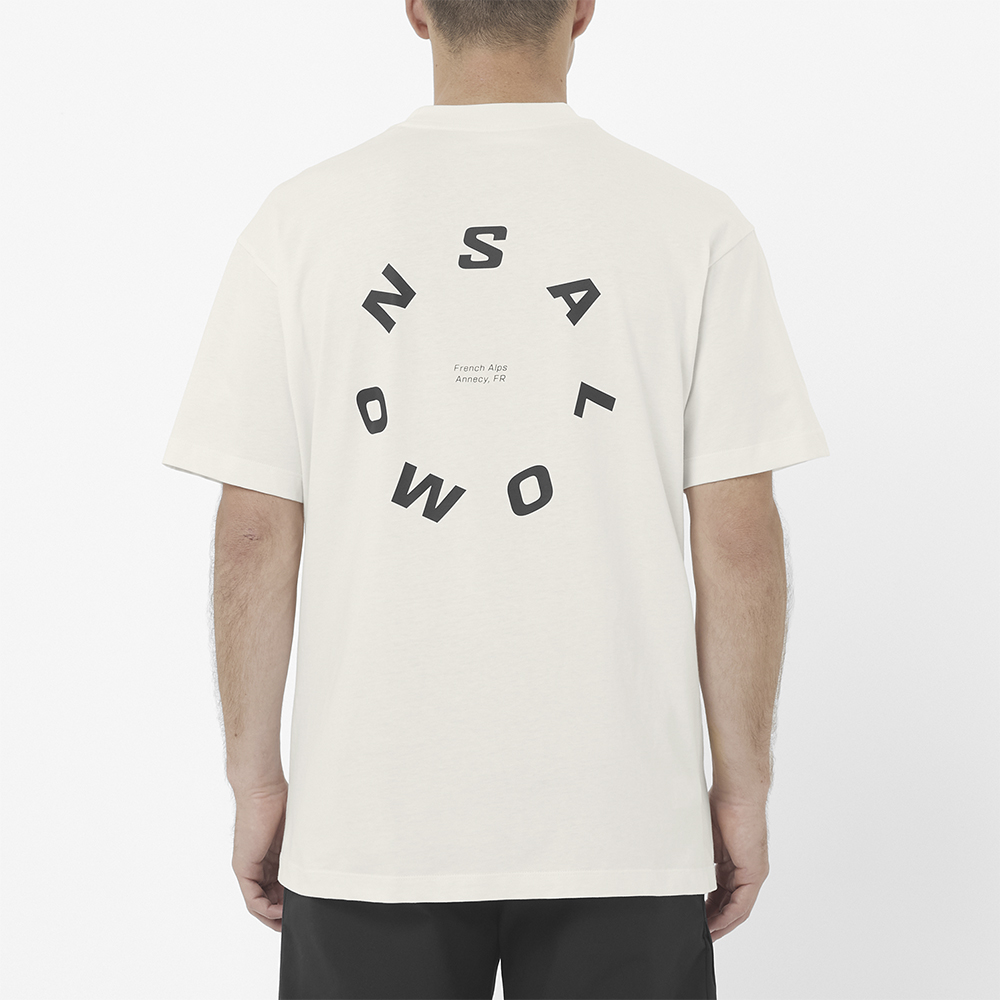 Футболка мужская Salomon Round Logo Graphic