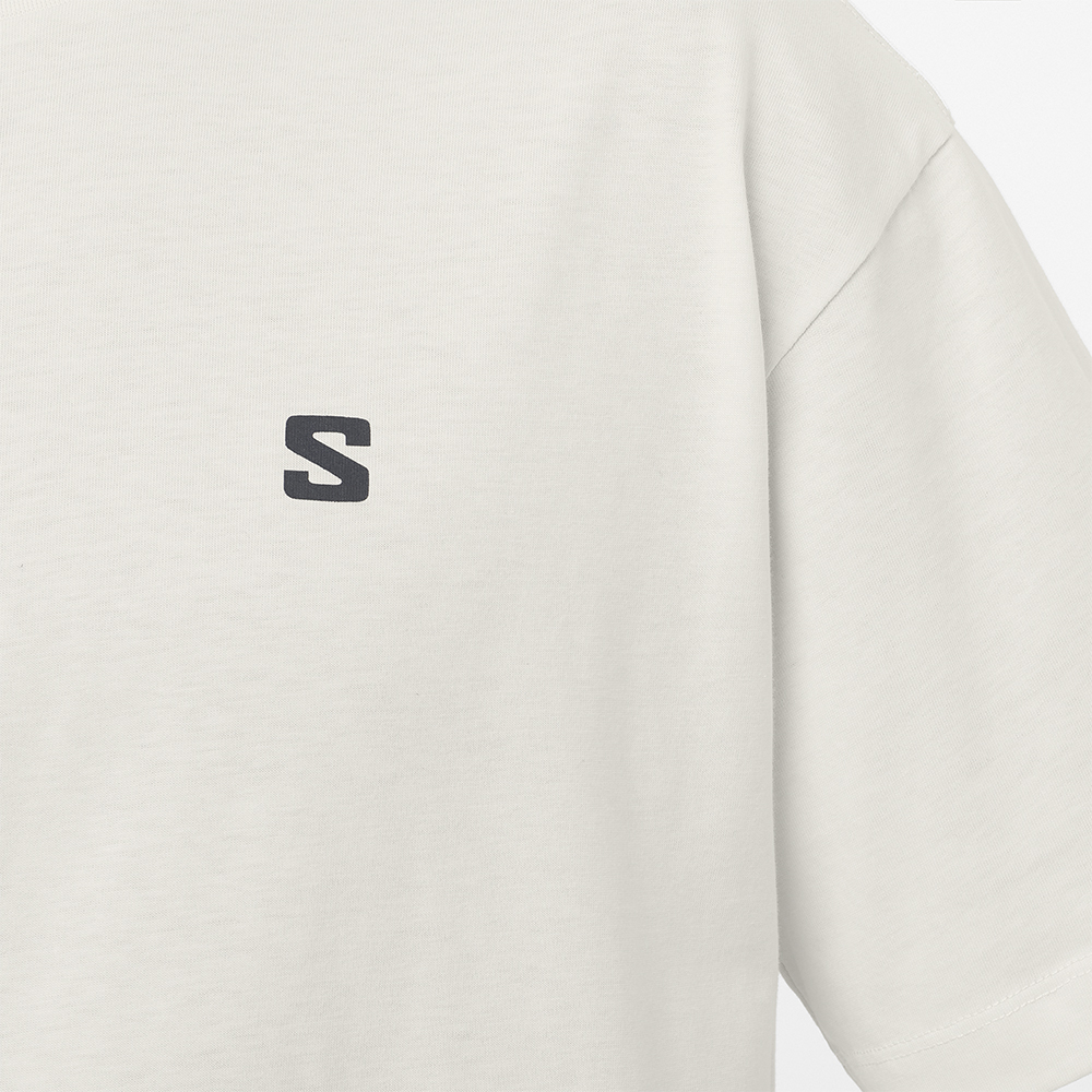 Футболка мужская Salomon Round Logo Graphic