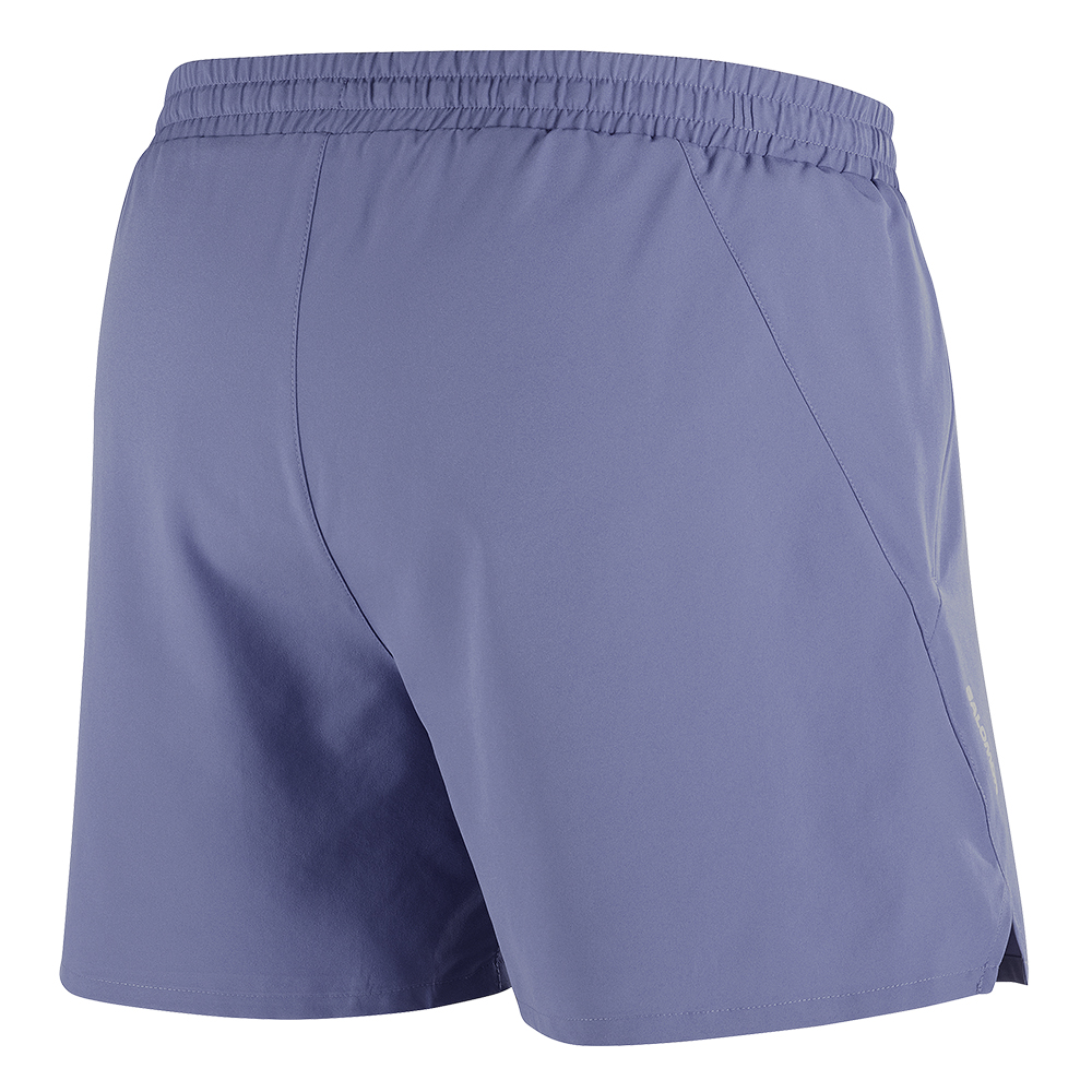 Шорты спортивные мужские Salomon Shakeout Core 5 Шорты спортивные мужские Salomon Shakeout Core 5