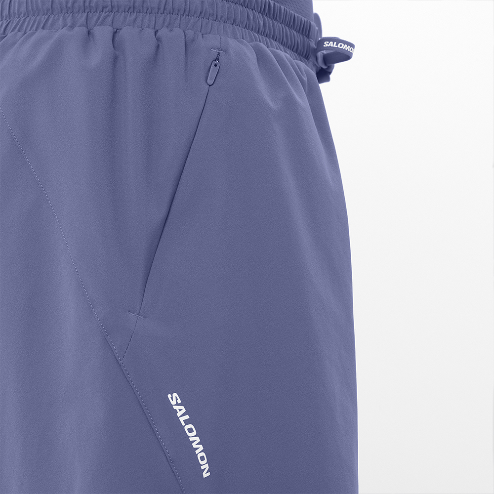Шорты спортивные мужские Salomon Shakeout Core 5 Шорты спортивные мужские Salomon Shakeout Core 5