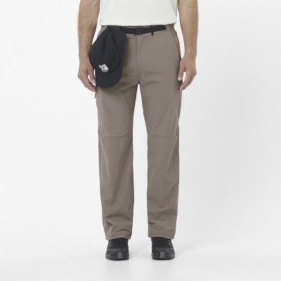Треккинговые брюки мужские Salomon Wayfarer 2.0 