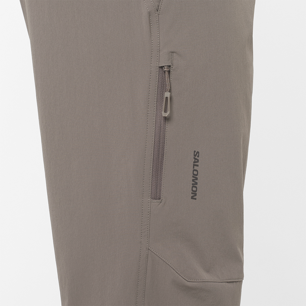 Треккинговые брюки мужские Salomon Wayfarer 2.0 