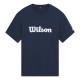 Футболка мужская Wilson Team Graphic Tee 