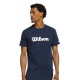Футболка мужская Wilson Team Graphic Tee 