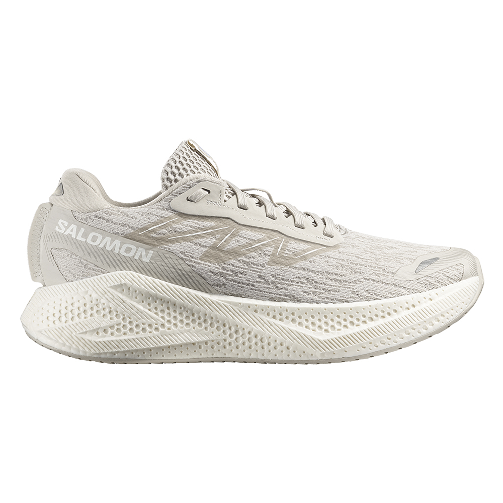 Кроссовки для бега мужские Salomon Aero Glide 4 