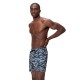 Шорты мужские пляжные Speedo A/o prnt redondo 