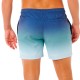 Шорты мужские пляжные Rip Curl Offset fade 