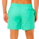 Шорты мужские пляжные Rip Curl Offset daily 16 
