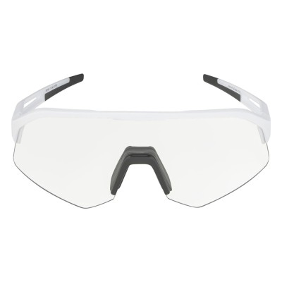 Очки солнцезащитные Alpina Sonic HR V 