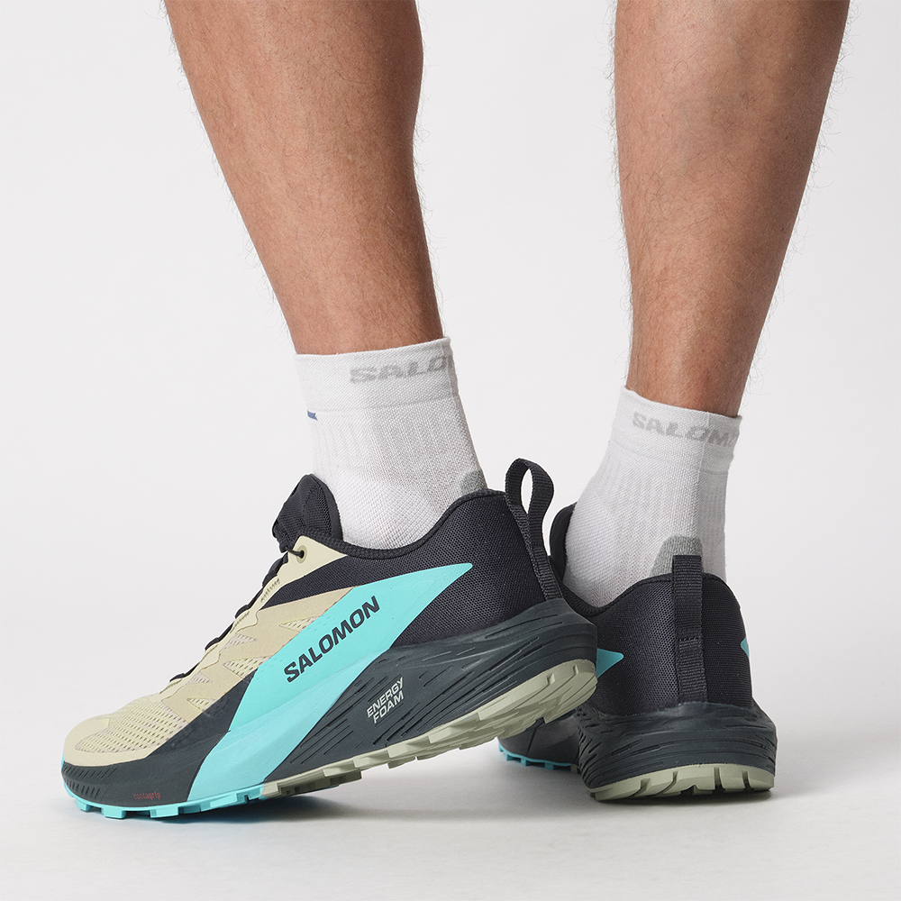 Кроссовки для бега мужские Salomon Sense ride 5 Кроссовки для бега мужские Salomon Sense ride 5