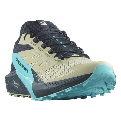 Кроссовки для бега мужские Salomon Sense ride 5  