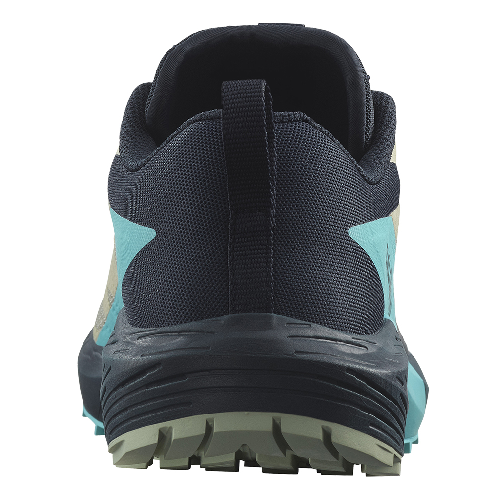 Кроссовки для бега мужские Salomon Sense ride 5 Кроссовки для бега мужские Salomon Sense ride 5