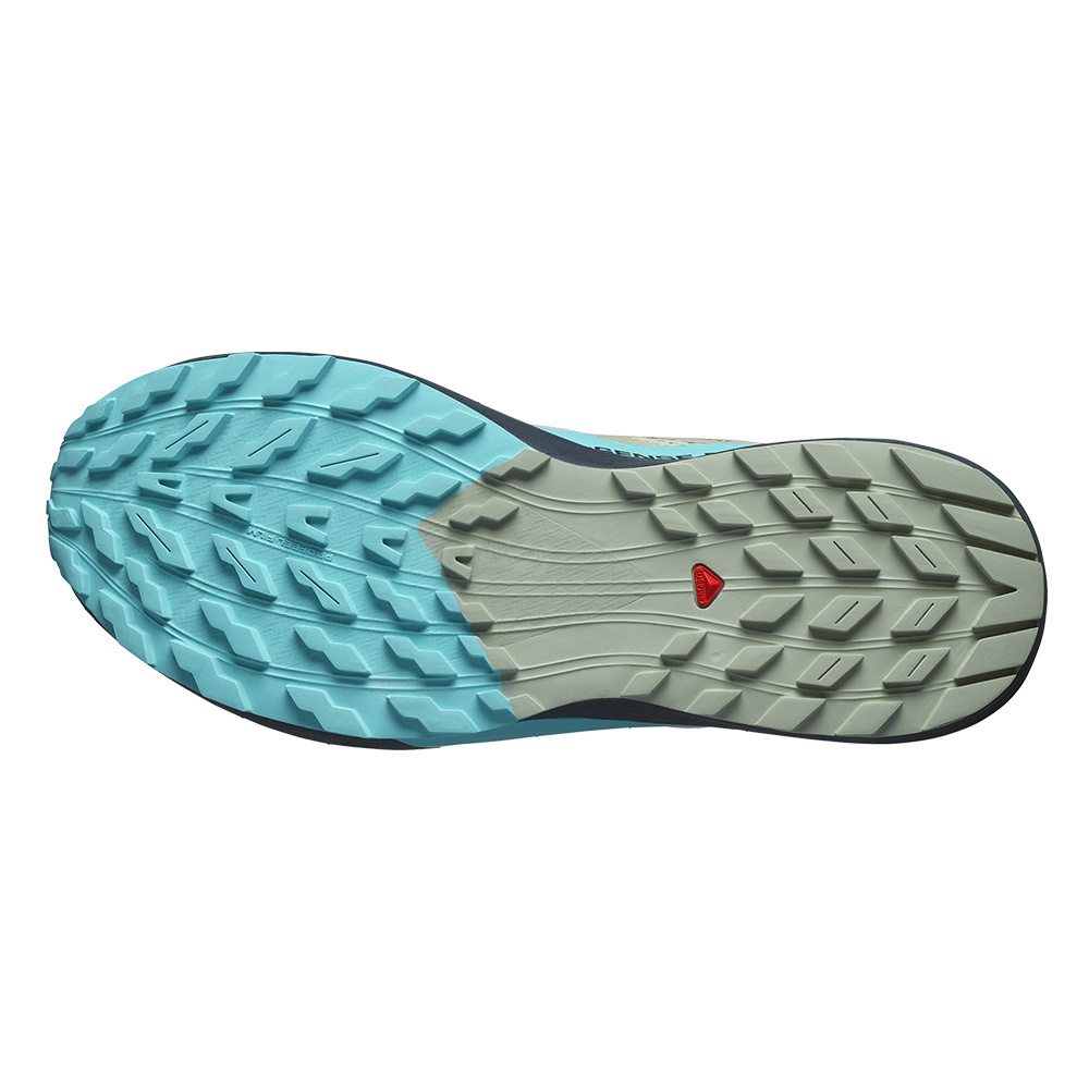 Кроссовки для бега мужские Salomon Sense ride 5 Кроссовки для бега мужские Salomon Sense ride 5