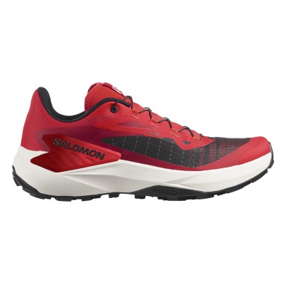 Кроссовки для бега мужские Salomon Genesis 