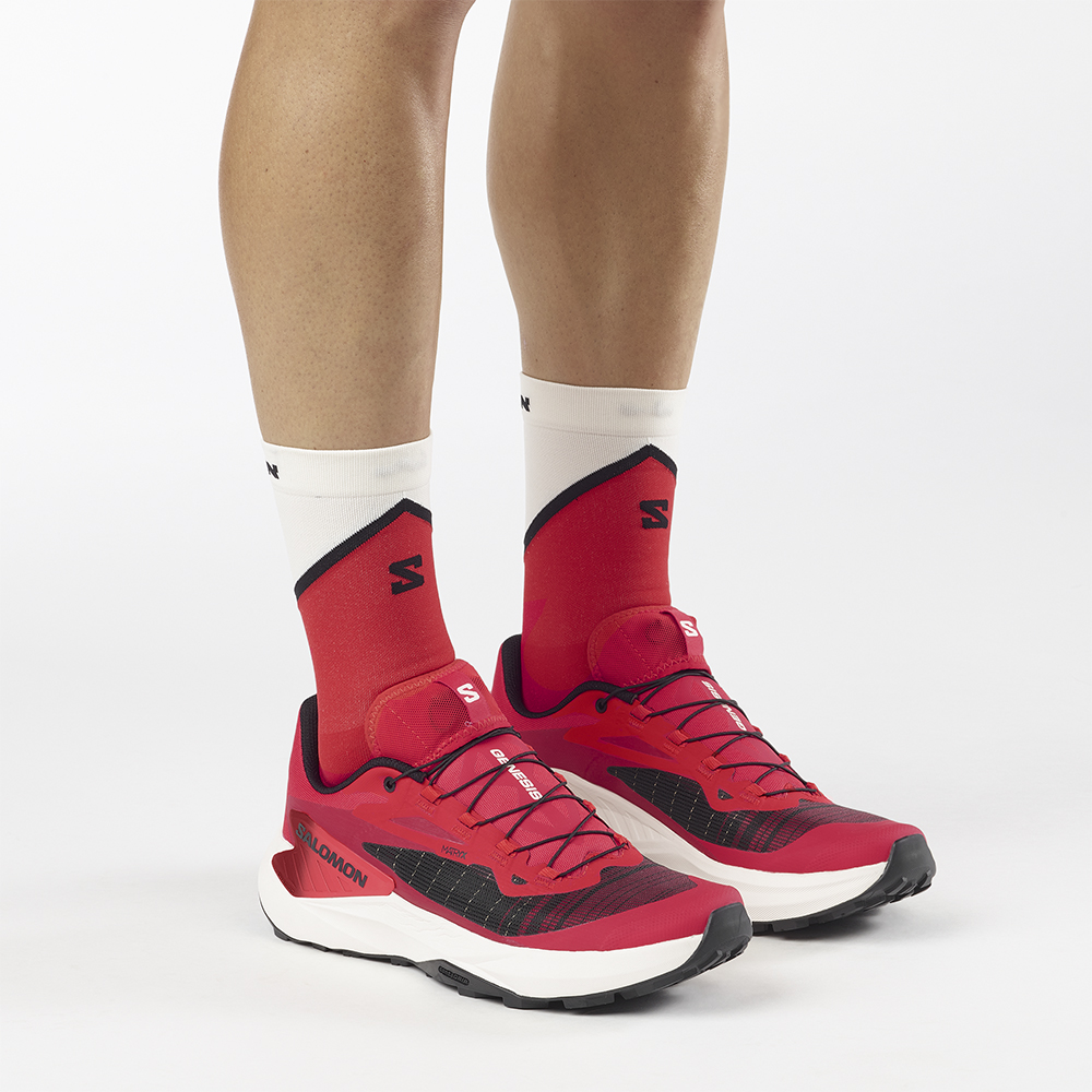 Кроссовки для бега мужские Salomon Genesis 