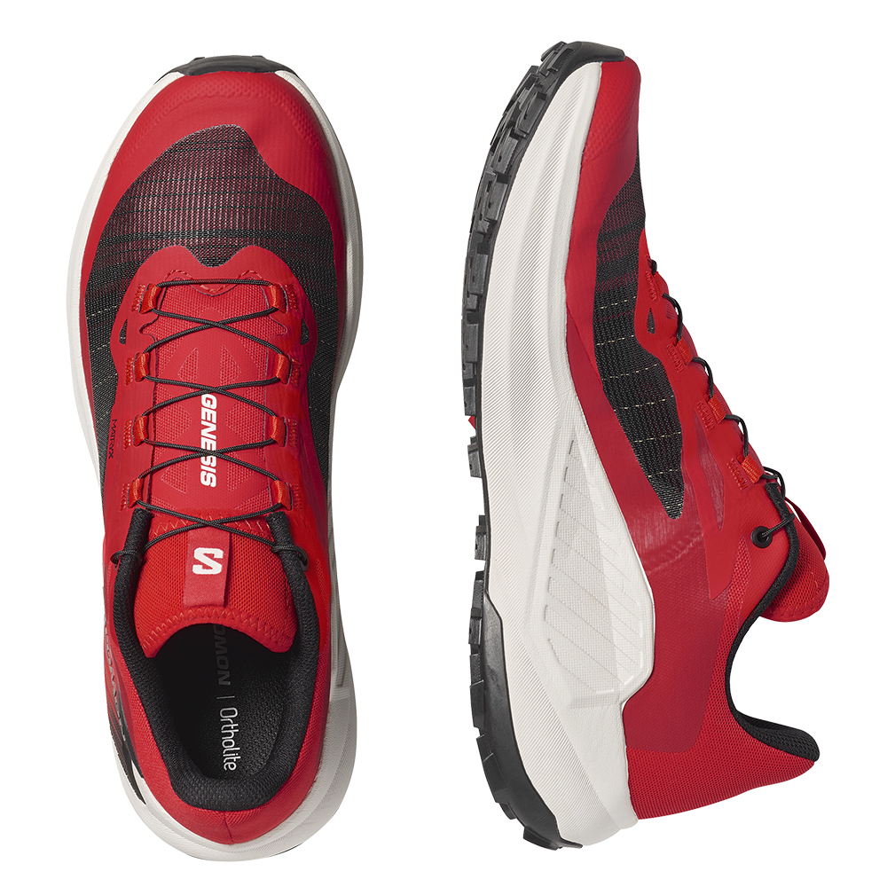 Кроссовки для бега мужские Salomon Genesis 