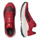 Кроссовки для бега мужские Salomon Genesis 