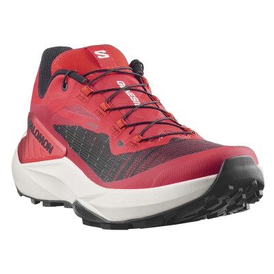 Кроссовки для бега мужские Salomon Genesis 