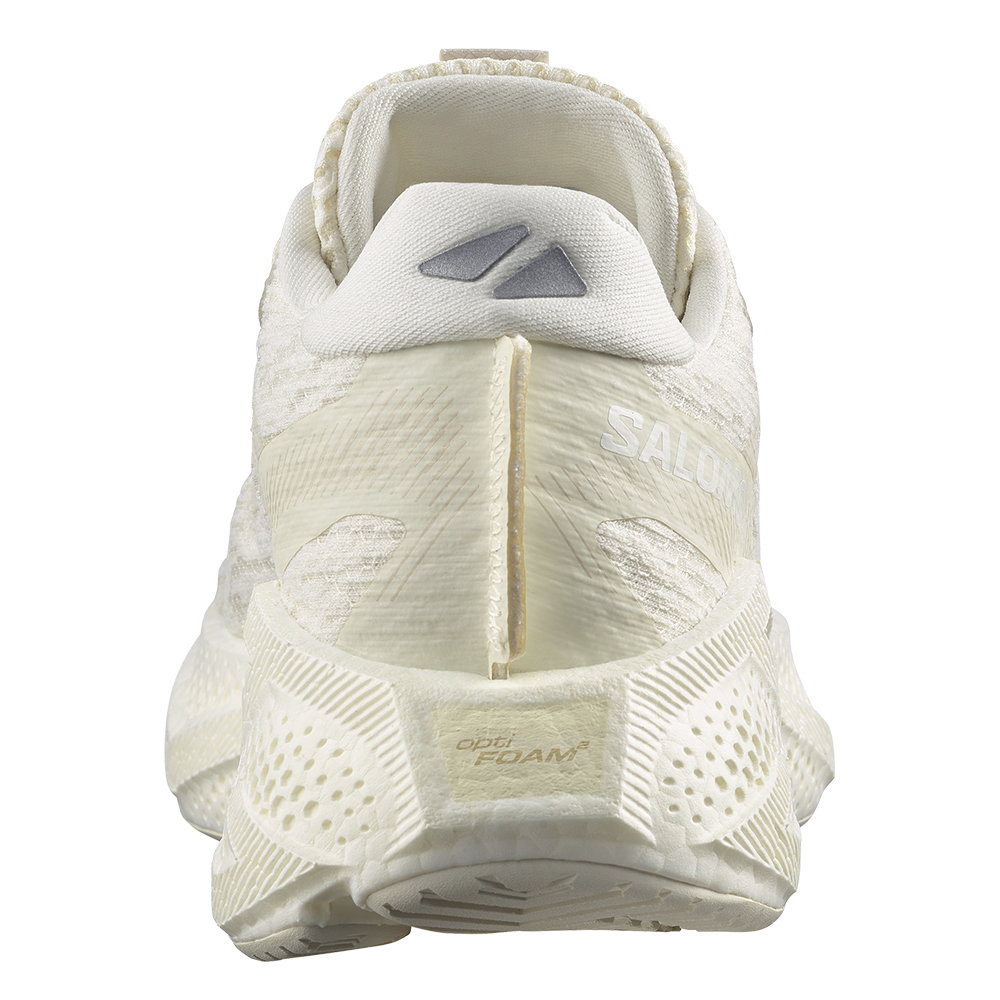 Кроссовки для бега женские Salomon Aero Glide 4 