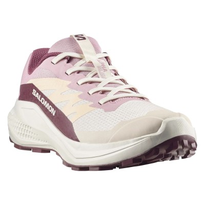Кроссовки для бега женские Salomon Alphaglide 