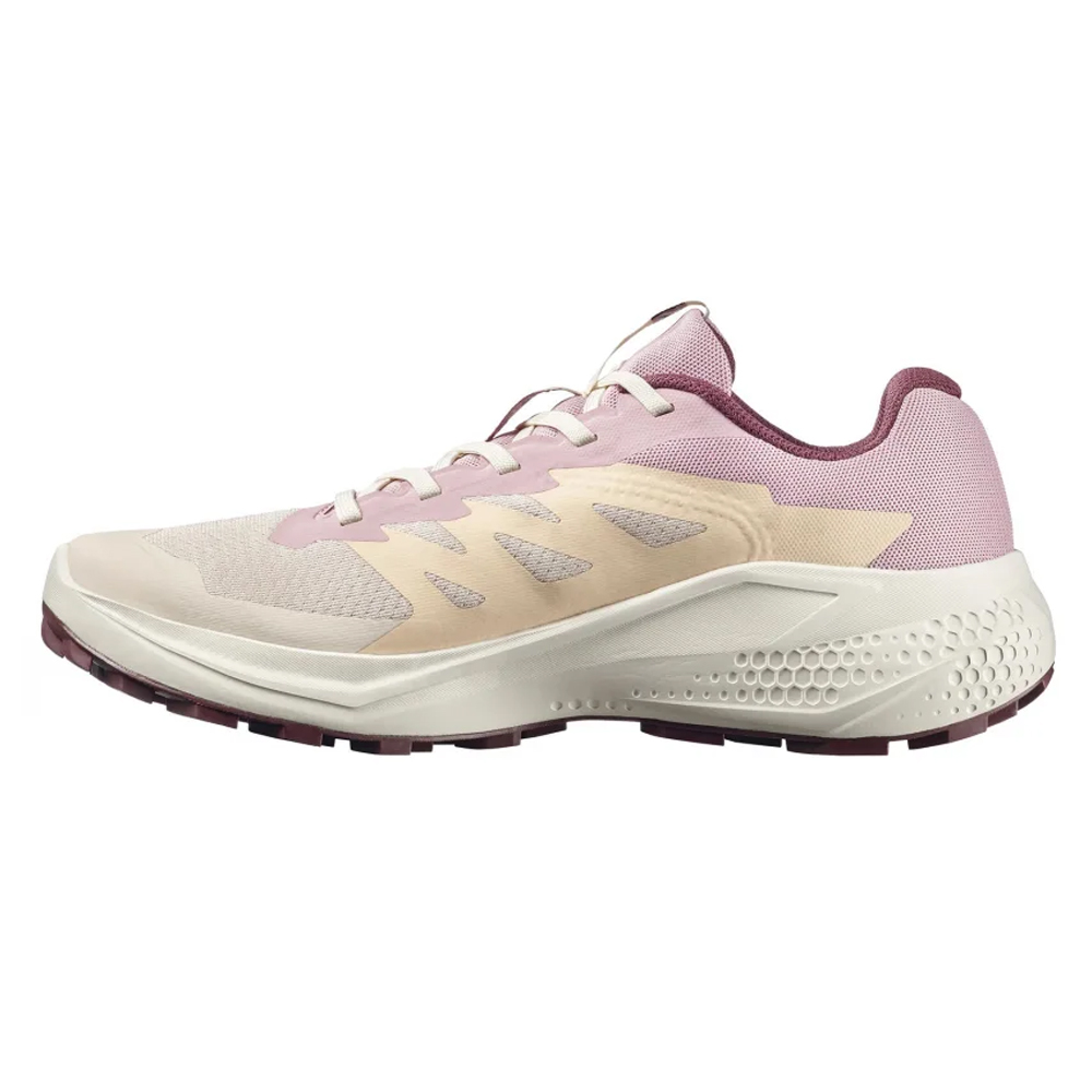 Кроссовки для бега женские Salomon Alphaglide 