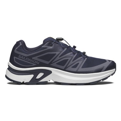 Повседневные кроссовки мужские Salomon Xt-Evr 