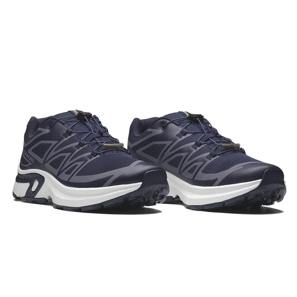 Повседневные кроссовки мужские Salomon Xt-Evr 