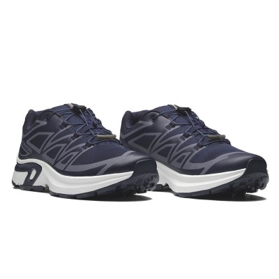 Повседневные кроссовки мужские Salomon Xt-Evr 