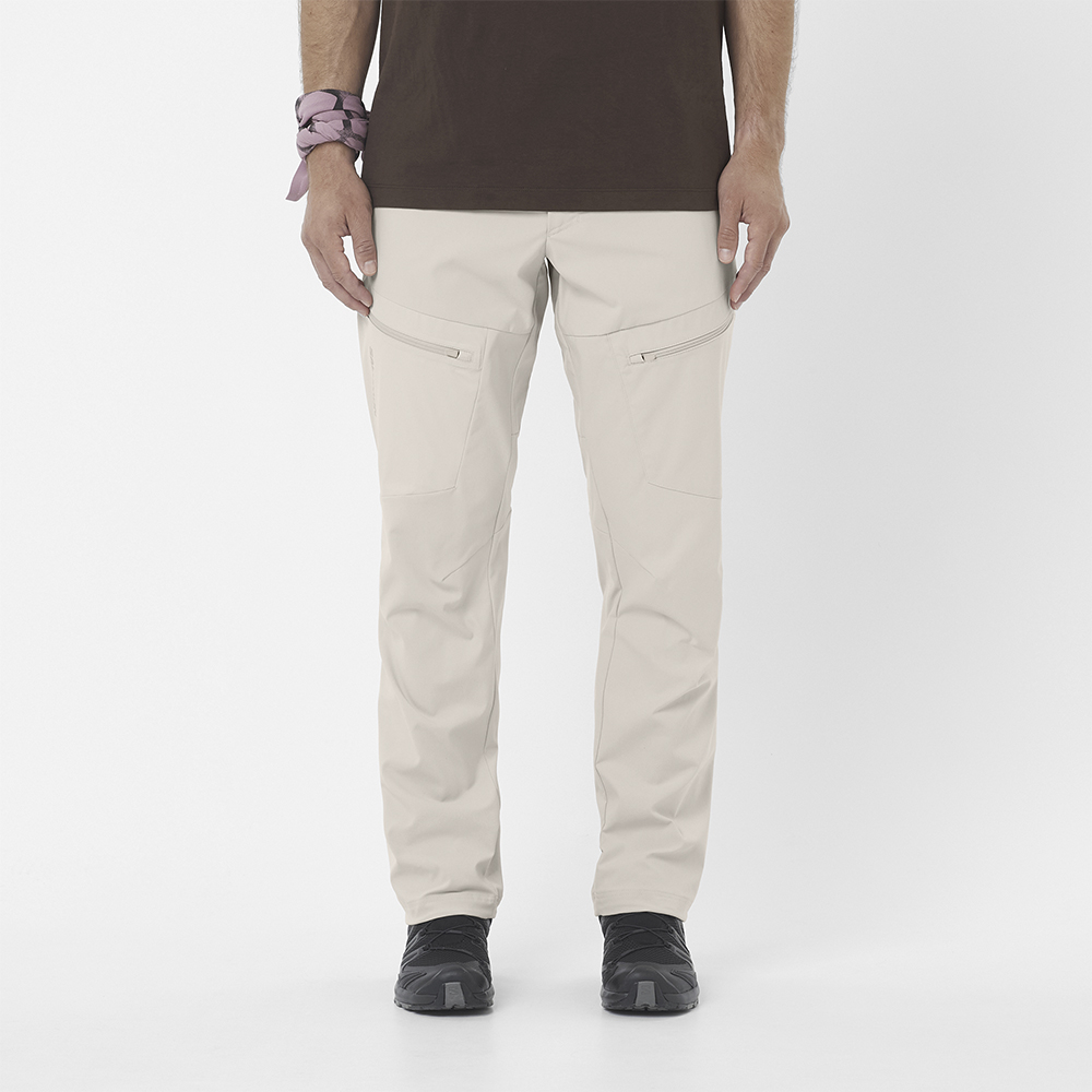 Треккинговые брюки мужские Salomon Outerpath Utility 