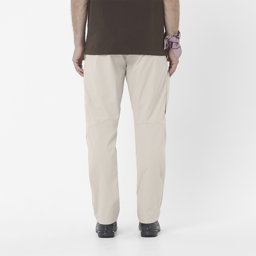 Треккинговые брюки мужские Salomon Outerpath Utility 